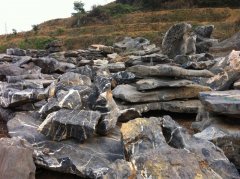 Һ���h(hu��n)����ʯ��ɰ�C(j��)�S��