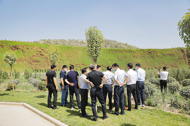 湖北省赤壁市導(dǎo)考察礦山生態(tài)修復(fù)及環(huán)境治理情況